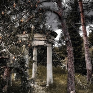Capel Manor Gardens, Middlesex 2022 (Digital Download) Nature Photography, Trees, Outdoors, Monument, Nature