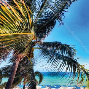 Palm Trees, Hollywood Beach, Florida. 2022 (Instant Download) Beach Photography, Home Decor, Wall Art