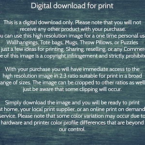 Digital download disclaimer explaining use and licensing. Most details can be found in the product description.