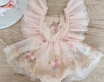 Baby Girl 1st Birthday Oufit, Cake Smash Outfit, Baby Girl Photoshoot Clothing, Girls Partywear, Pastel Princess Dress