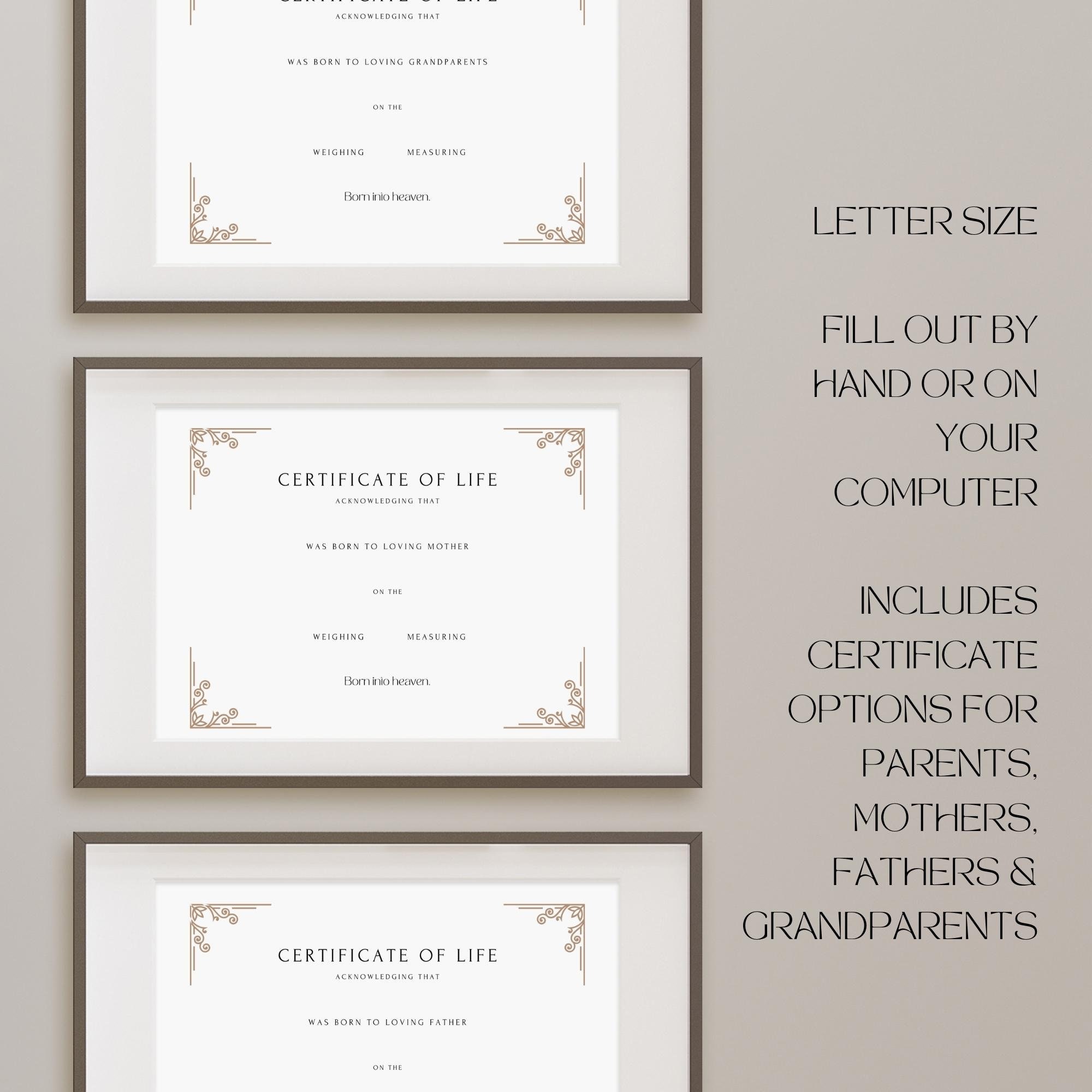 Certificate of Life Digital Download Printable | Baby Loss Sympathy ...