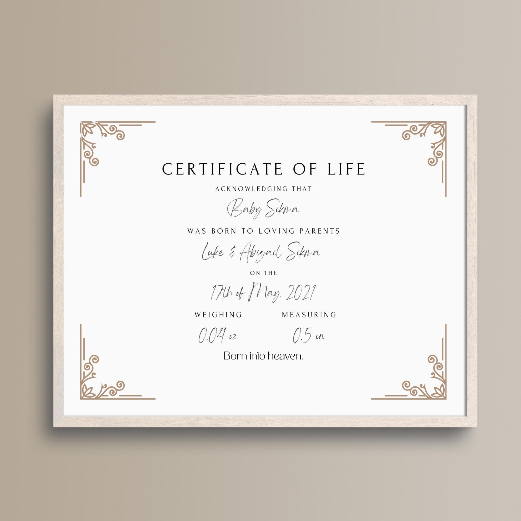 Certificate of Life Digital Download Printable Baby Loss Sympathy Certificate of Life Digital Download Printable Baby Loss Sympathy