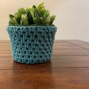Charming Crochet Plant Cozy