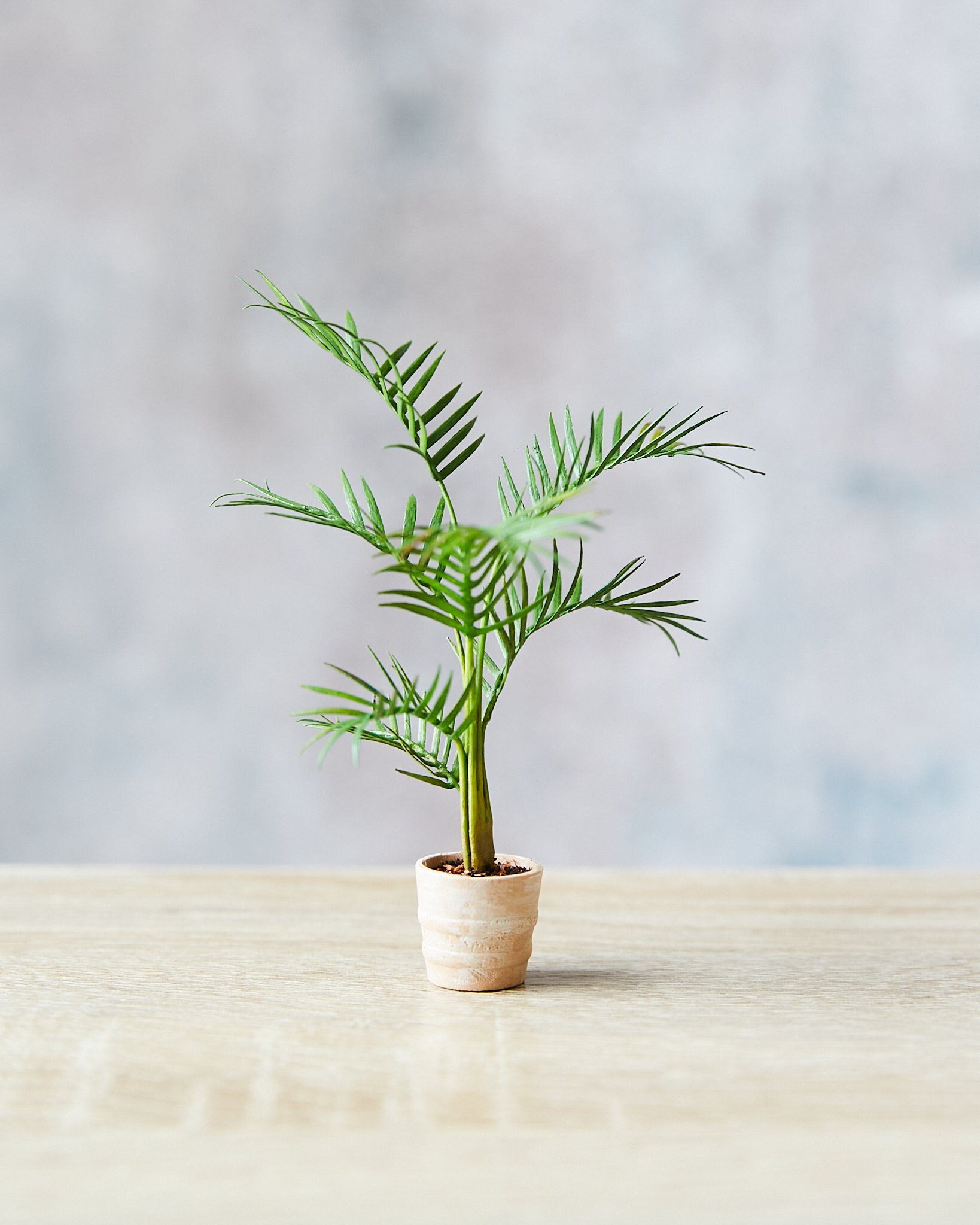 Miniature Palm Tree Model Made From Paper and Clay Etsy