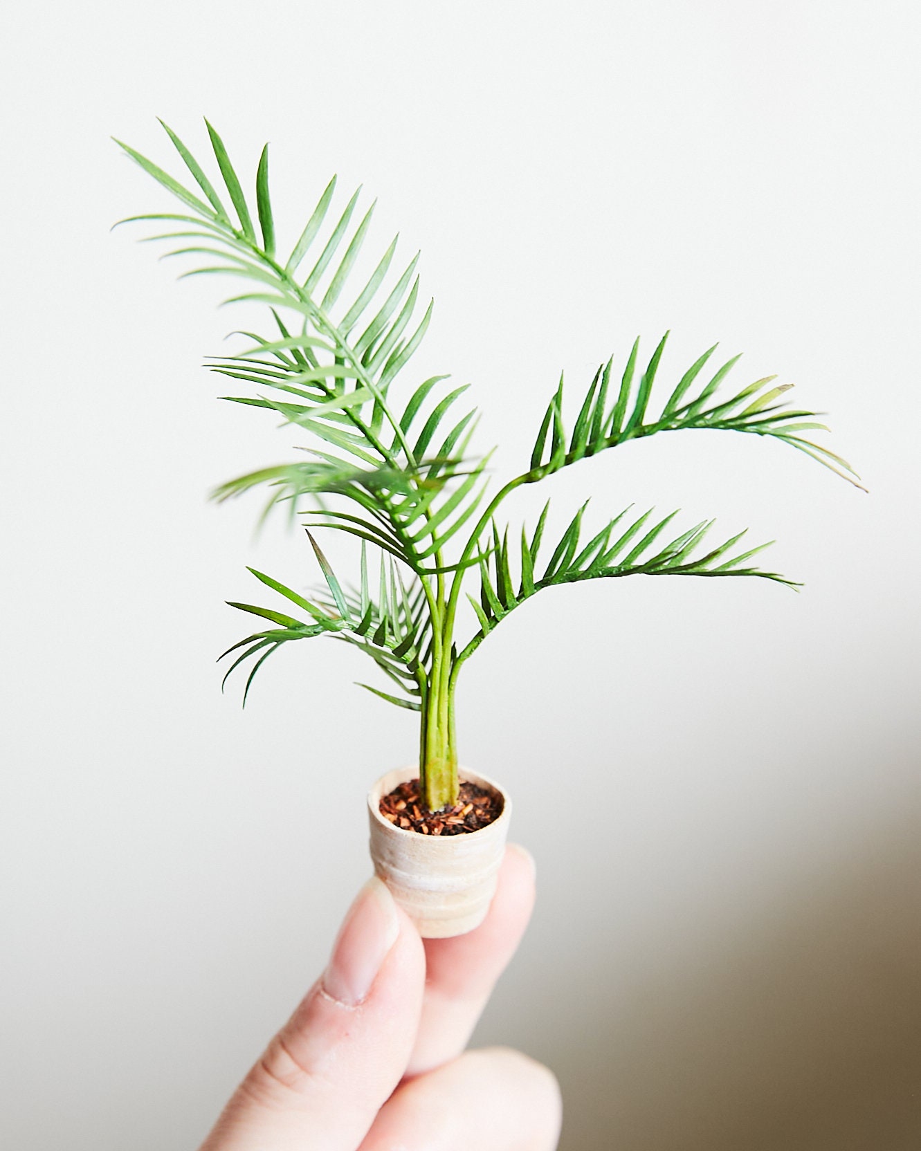 Miniature Palm Tree Model Made From Paper and Clay Etsy