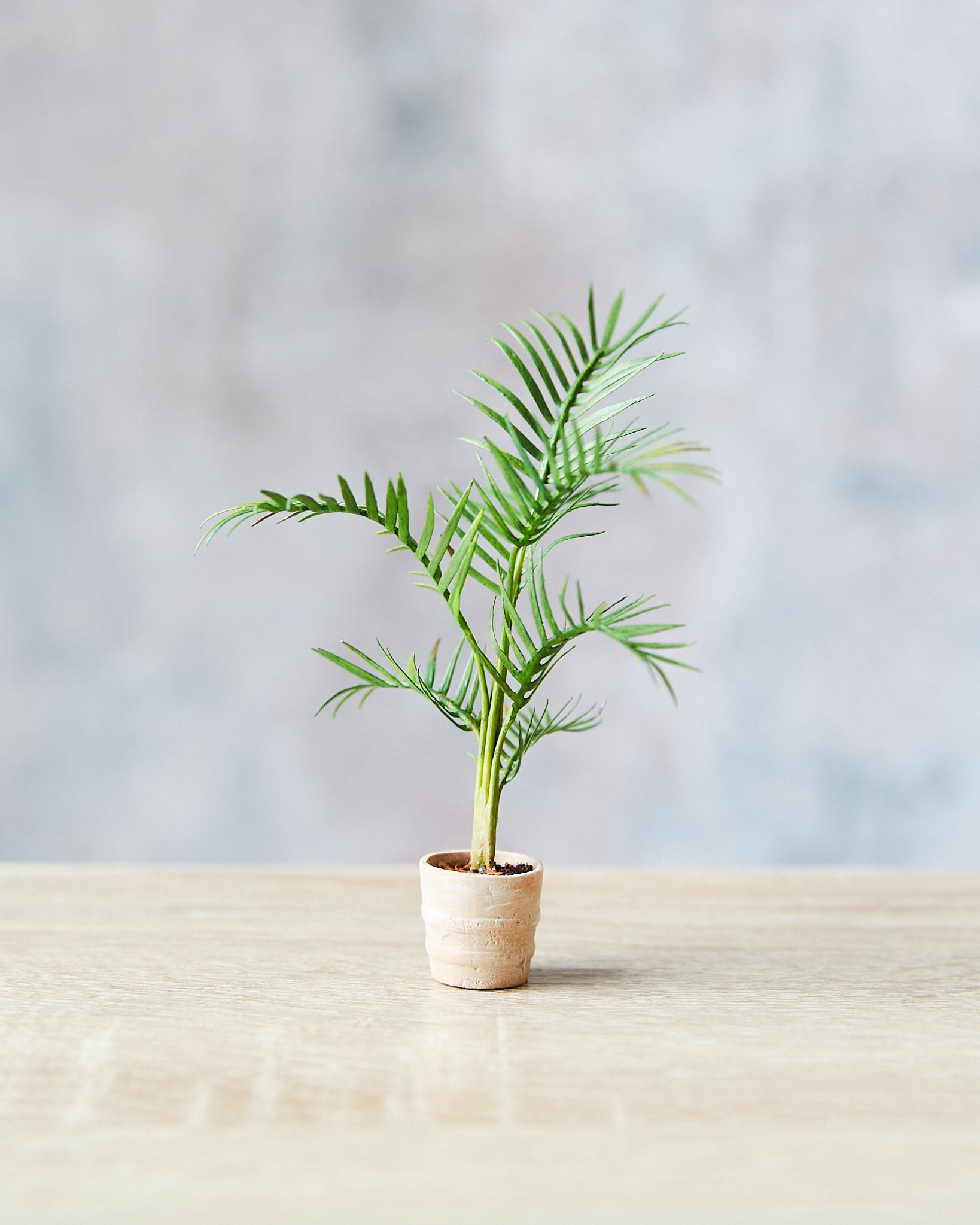 Miniature Palm Tree Model Made From Paper and Clay Etsy