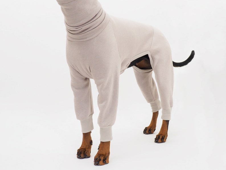 DOWNLOAD SEWING PATTERN / Lunajumpsuit for Your Dog Pdf Etsy