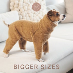 DOWNLOAD SEWING PATTERN / Dog teddy pajamas - sizes m-xl