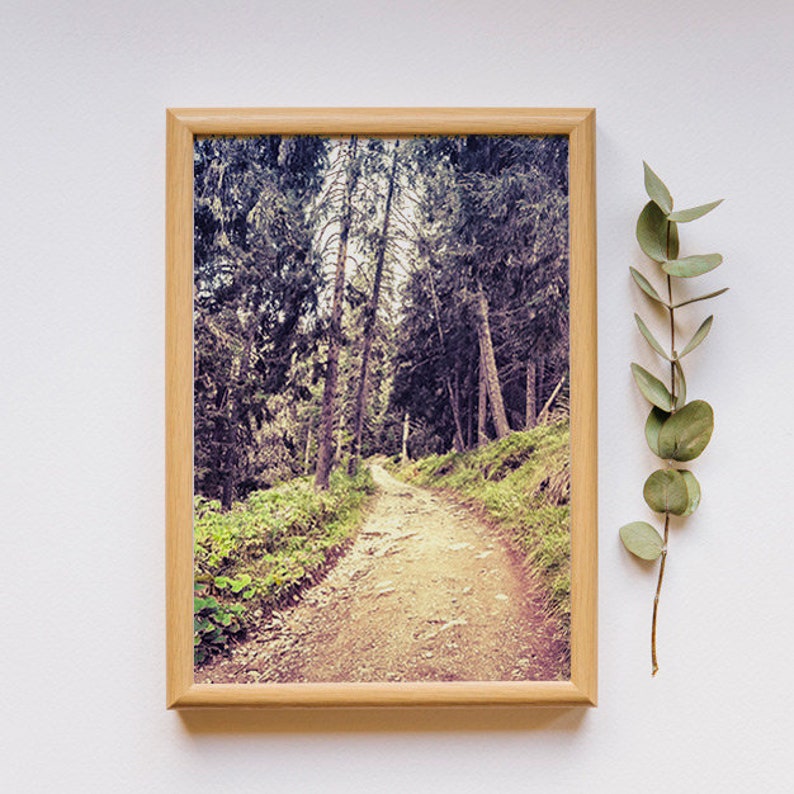 Moody Forest Path Print: Wood Landscape Photo (digital Download) - Etsy