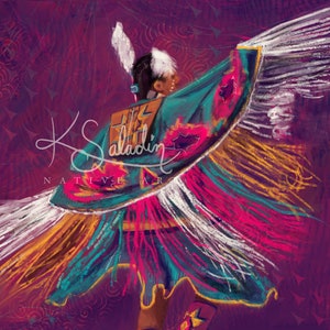 Pow wow Fancy Dancer 1
