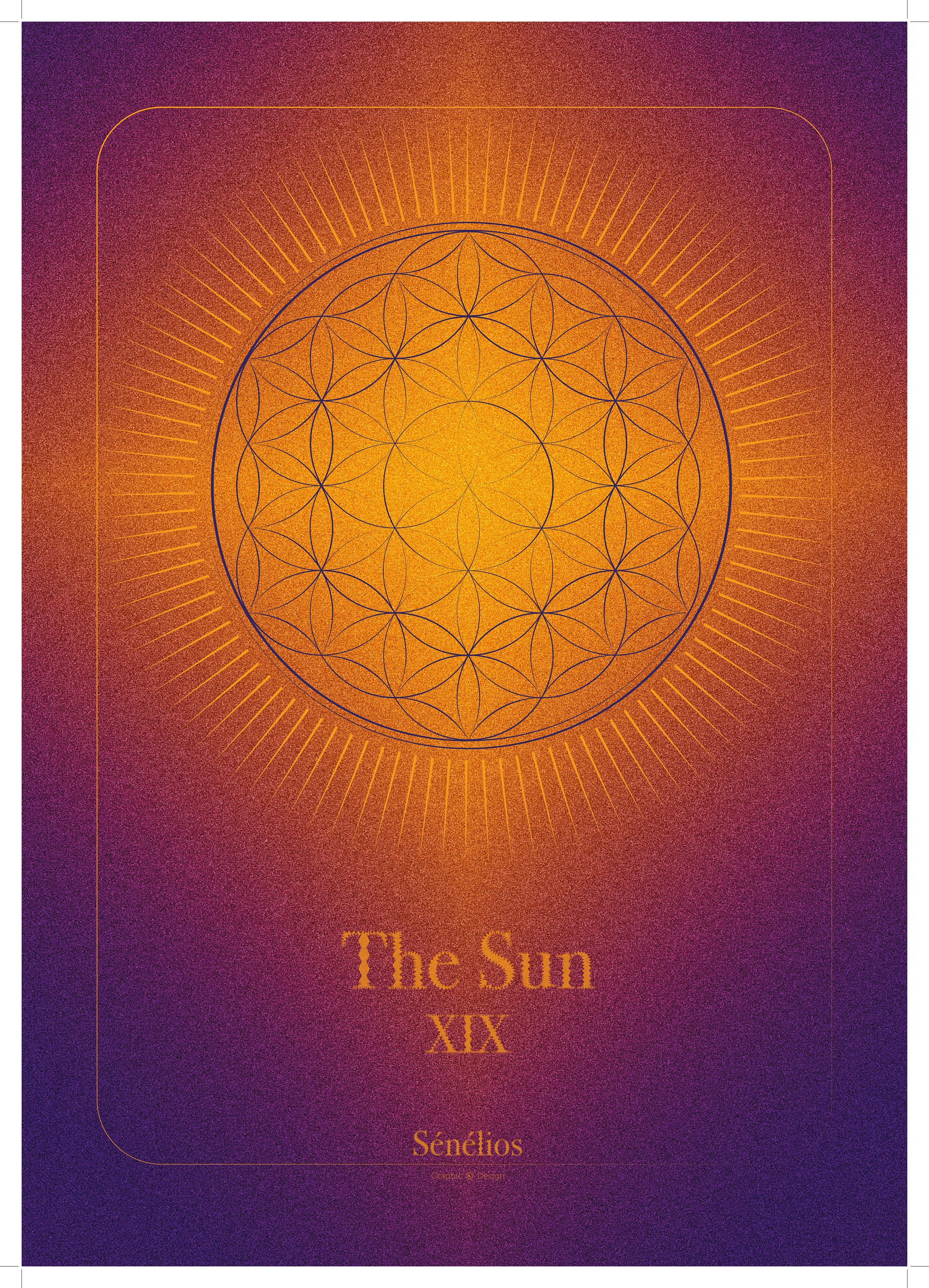 Affiche The Sun