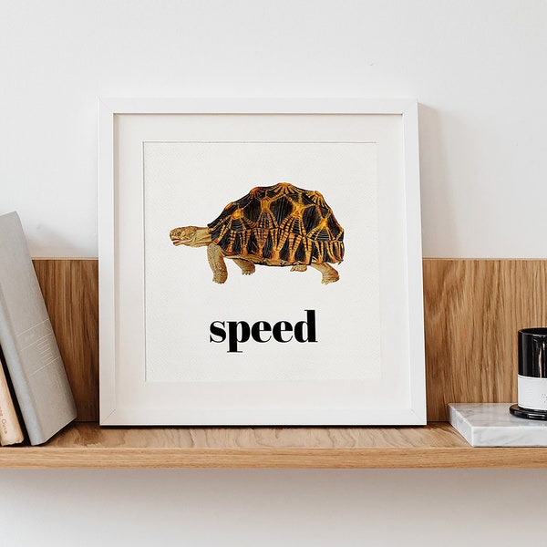 Funny Wall Art Etsy