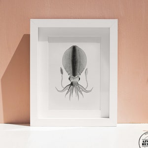 Reef Squid Print: Vintage Style Sea Life Wall Art