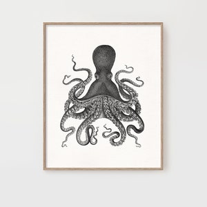 Vintage Octopus Print: Cephalopod Nautical Art, Coastal Decor