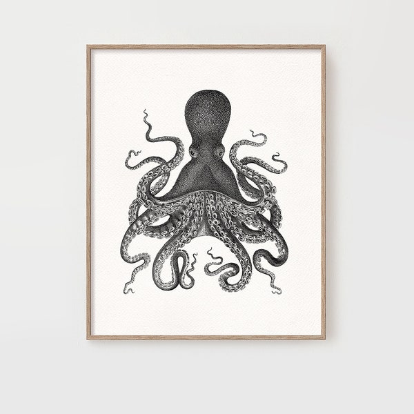 Octopus Print, Black Cephalopod Poster, Ocean Design Theme, Coastal & Beach Decor, 8x10 Wall Art / 8x8 Square Print / 5x7 / A4, Sea Creature