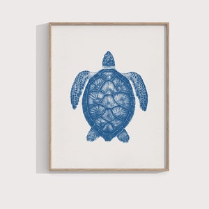 Blue Turtle Print, Ocean Blue Decor, Coastal and Beach Wall Art / 8x10 Print / Square Print - 8x8 / 5x7 / A4 Print, Sea Creature Poster