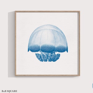 Blue Jellyfish Print: Vintage Ocean Creature Wall Art