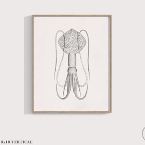 Squid Print, 8x10 Art, Whip-lash Squid, Cephalopod Ocean Decor, Coastal & Beach Wall Art, 8x8 Square Print / 5x7 / A4 Print, Sea life Art