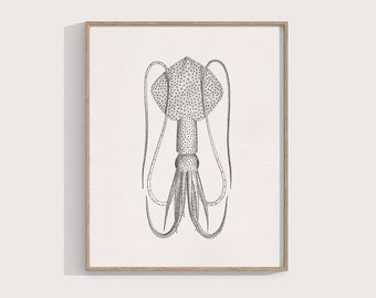 Squid Print, 8x10 Art, Whip-lash Squid, Cephalopod Ocean Decor, Coastal & Beach Wall Art, 8x8 Square Print / 5x7 / A4 Print, Sea life Art