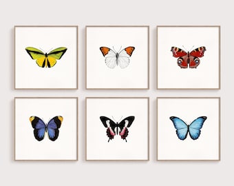 Set of 6 Butterfly Prints, 6 Colourful Butterflies Wall Art, Six Piece Wall Art for Kitchen / Bathroom / Bedroom Decor