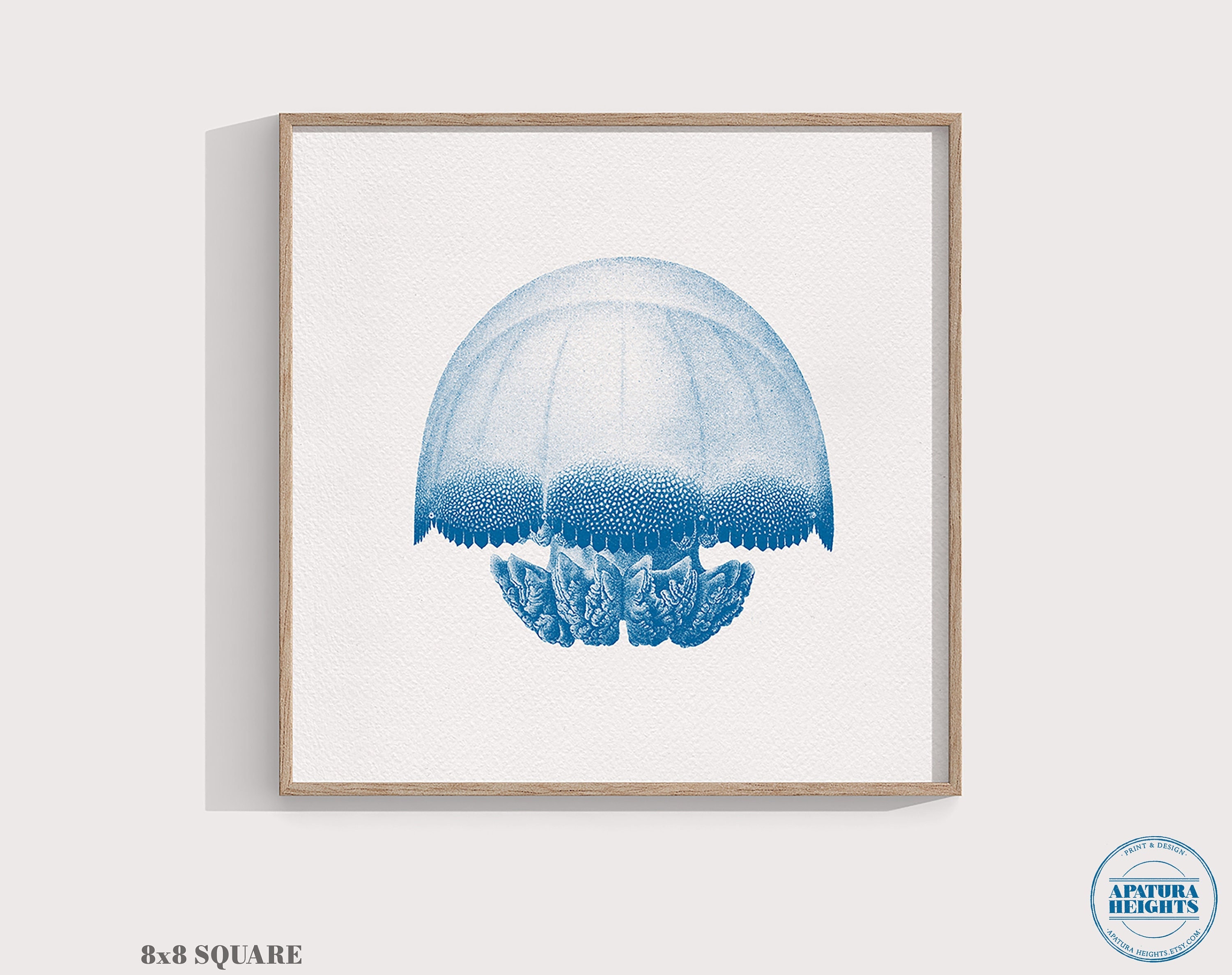 kako様用　クラゲ　オーシャンアートボール 高級珍味 キャノンボール クラゲ（頭） 1kg 業務用 渦巻くらげ 塩漬け