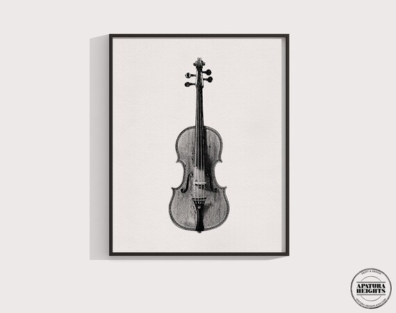 Antique 2024 violin stradivarius