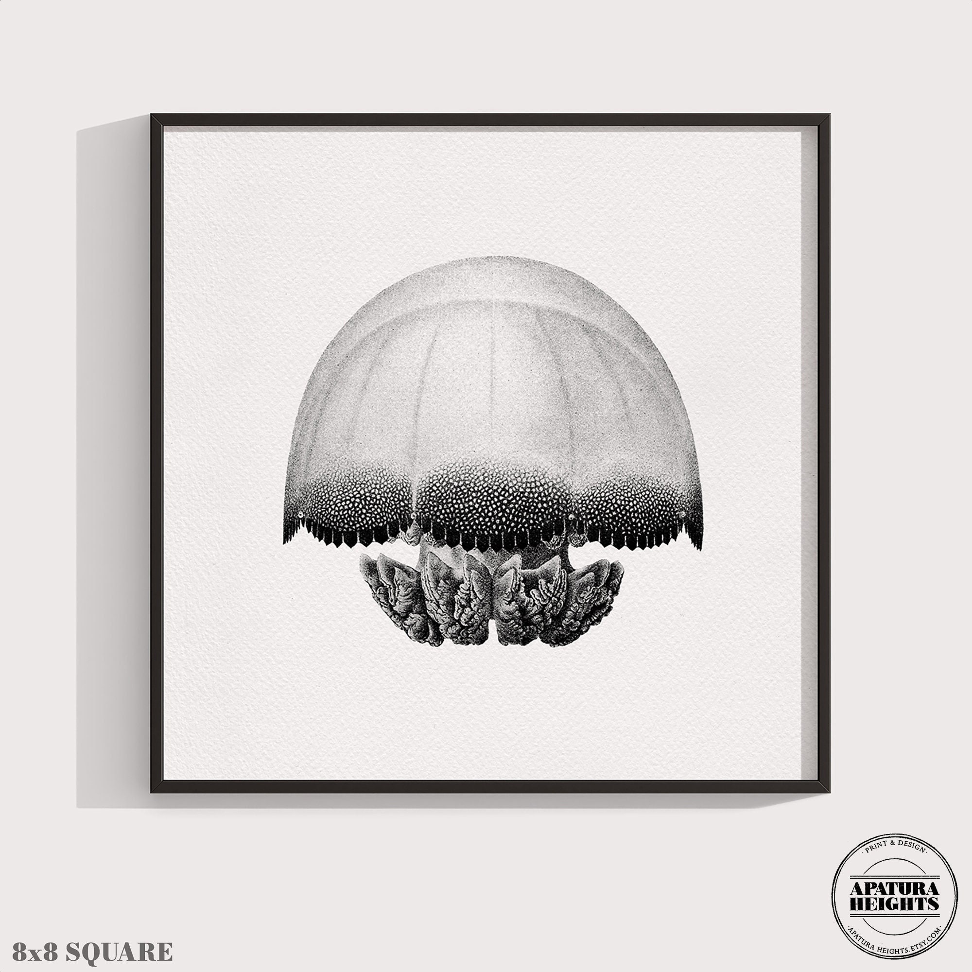 kako様用　クラゲ　オーシャンアートボール 高級珍味 キャノンボール クラゲ（頭） 1kg 業務用 渦巻くらげ 塩漬け