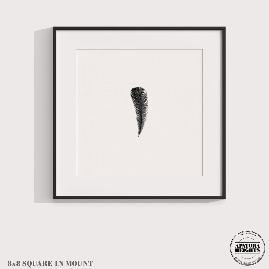 Minimalist Feather Art Print: Black & White Vintage Illustration - Etsy