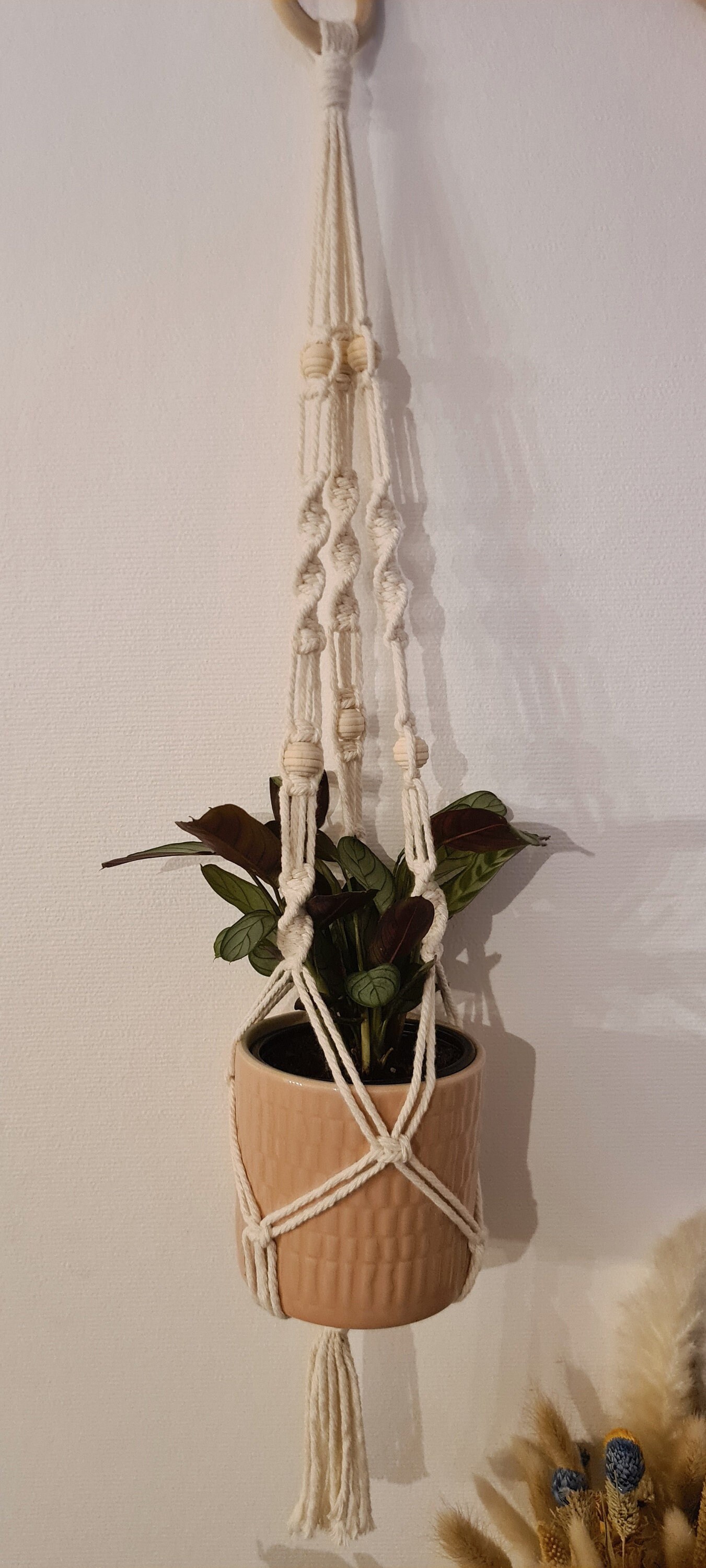 Suspension Plante Macramé