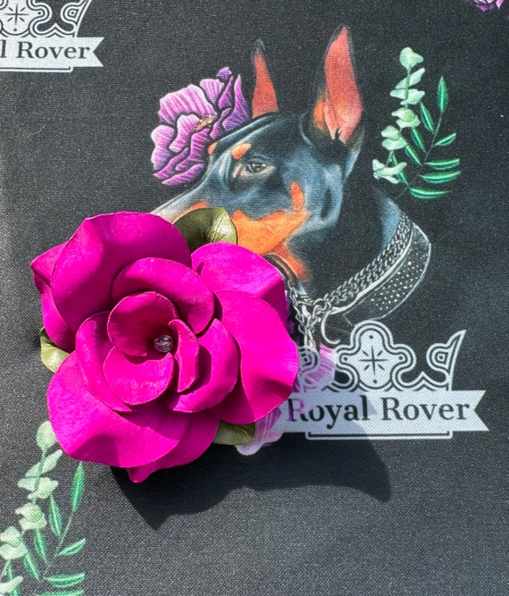 Leather flower dog collar outlet