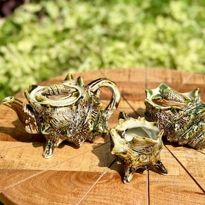 Può includere: Un servizio da tè in ceramica composto da una teiera e due tazze, tutte progettate per assomigliare a conchiglie. Il set è smaltato in tonalità di verde, marrone e crema, con superfici strutturate e dettagli intricati. La teiera ha un manico e un beccuccio, e le tazze hanno la forma di una conchiglia.