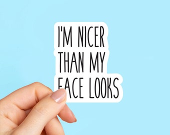 I'm nicer than my face looks laptop stickers, funny stickers, sarcasm laptop decals, shenanigan tumbler sticker, water bottle sticker