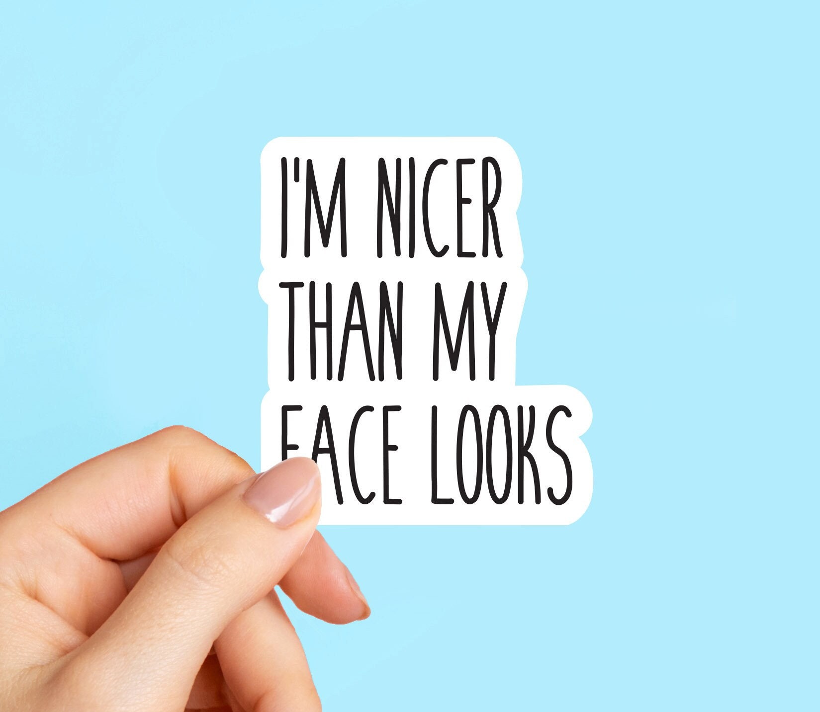 I'm Nicer Than My Face Looks Sticker, Sarcasm Stickers, Laptop Stickers, Water  Bottle Decals, Tumbler Stickers 