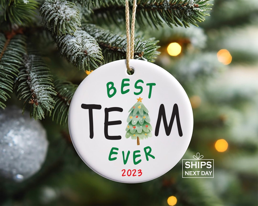 Best Team Ornament, Coworker Gift, Coworker Funny Ornament Staff