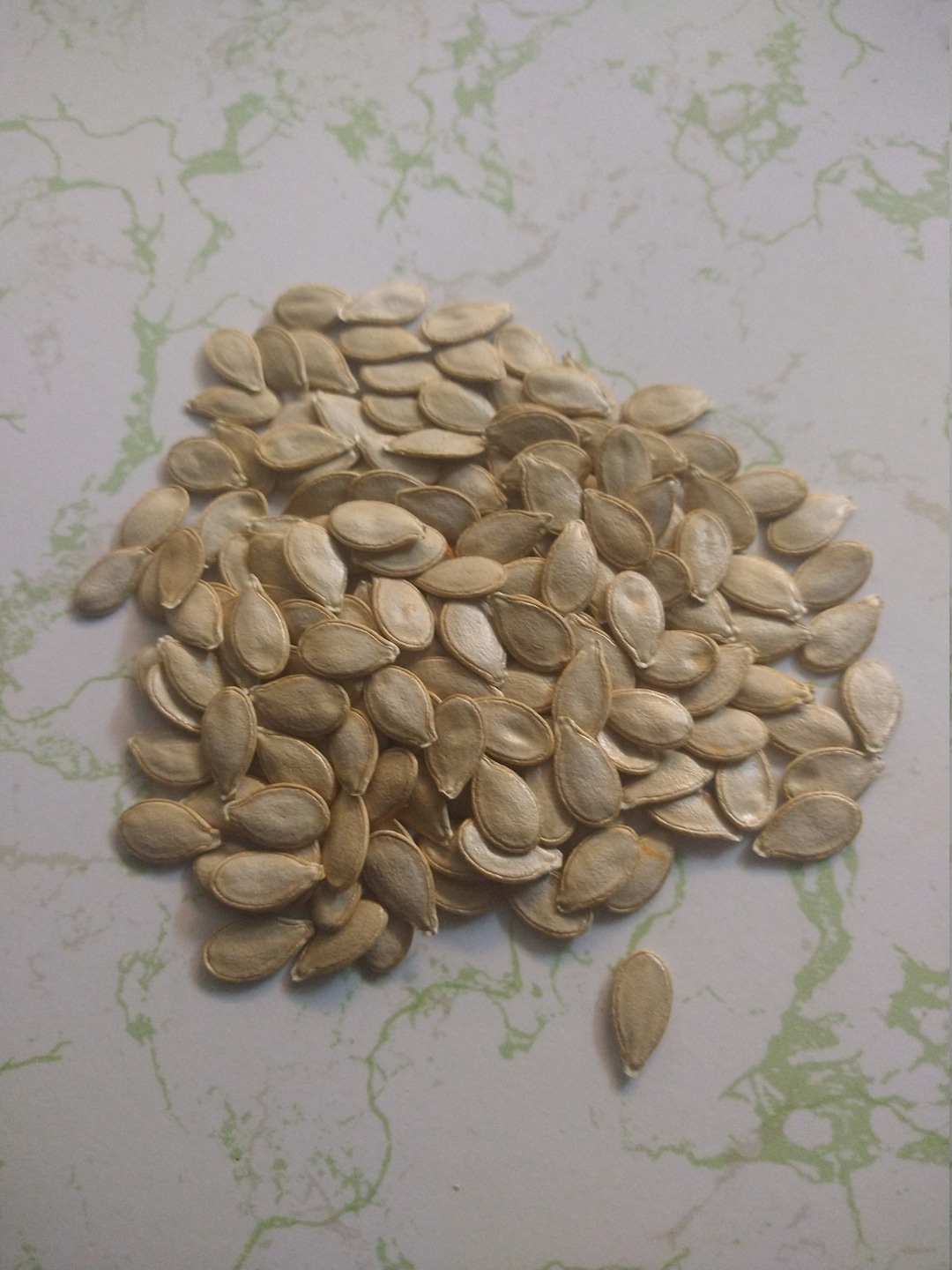 Seminole Pumpkin Seeds Etsy
