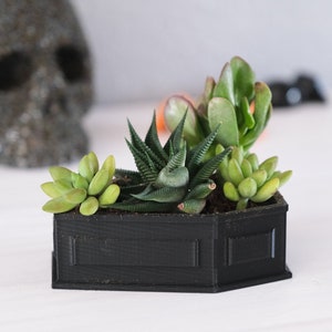 Coffin Planter Halloween Decor, 3D Printed Succulent Garden, Spooky Season Witchy Decor, Goth Horror Garden Pot Gift (Planter ONLY)
