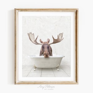 Moose in Vintage Bathtub, Stone Slab Style, Animal in Tub, Bathroom Art, Animal Art by Amy Peterson