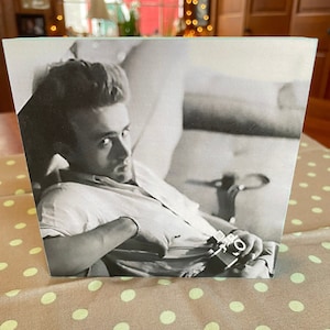Lovely Image Of James Dean Plopped On A Couch With His Camera Handmade On Pine Wood