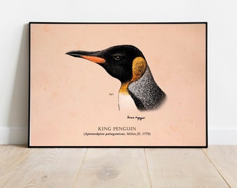 Penguin Wall Art, Classic Scratchboard Illustration of a King Penguin