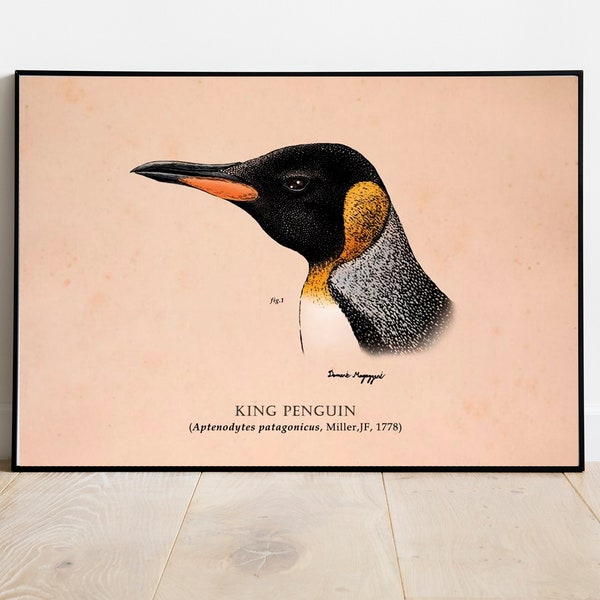 Pinguin Wandkunst, Klassische Scratchboard Illustration eines Königspinguins