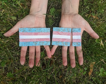 Parche/pegatina de tela acolchada decorativa termoadhesiva del Orgullo Transgénero