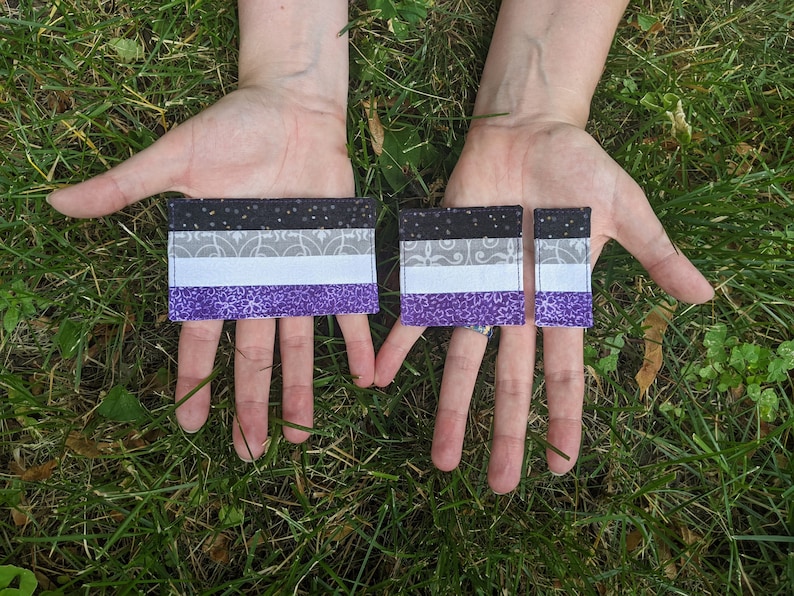 Asexual Pride Patch / Iron-on / Decorative Quilted Fabric Patch/Sticker image 1