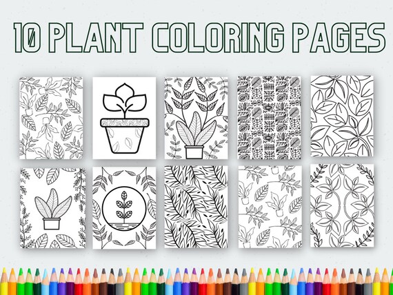10 Plant Coloring Pages Printable Coloring Adult Coloring | Etsy