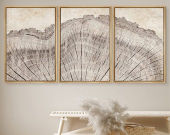 DustinWay Framed Canvas Print Wall Art Set Oak Wood Tree Rings Illustrations Modern Art Neutral Boho Decor