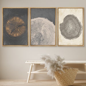 DustinWay Framed Canvas Print Wall Art Set of 3 Pastel Grunge Wood Tree Rings Abstract Illustrations Minimalist Modern Art Boho Decor