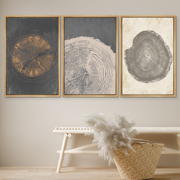 DustinWay Framed Canvas Print Wall Art Set of 3 Pastel Grunge Wood Tree Rings Abstract Illustrations Minimalist Modern Art Boho Decor