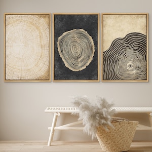 DustinWay Framed Canvas Print Wall Art Set of 3 Pastel Grunge Wood Tree Rings Abstract Illustrations Minimalist Modern Art Boho Decor