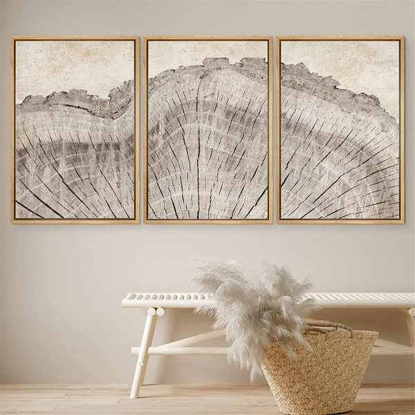 DustinWay Framed Canvas Print Wall Art Set Oak Wood Tree Rings Illustrations Modern Art Neutral Boho Decor