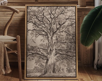 Vintage Tree Sketch Canvas Art - Framed Rustic Oak Drawing, Black & Beige Botanical Print, Nature Wall Decor for Country Cottage or Cabin