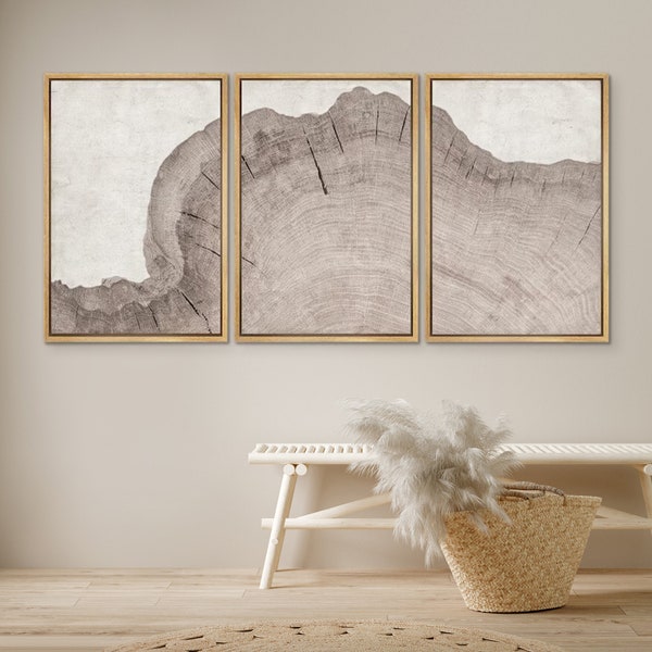 DustinWay Framed Canvas Print Wall Art Set of 3 Oak Wood Tree Rings Botanical Illustrations Minimalist Modern Art Neutral Boho Decor